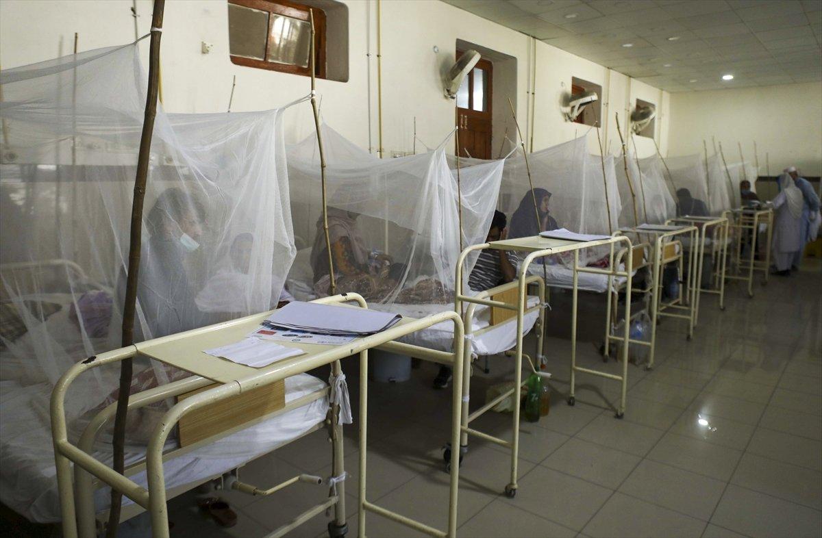 Pakistan'da dang humması vakaları arttı