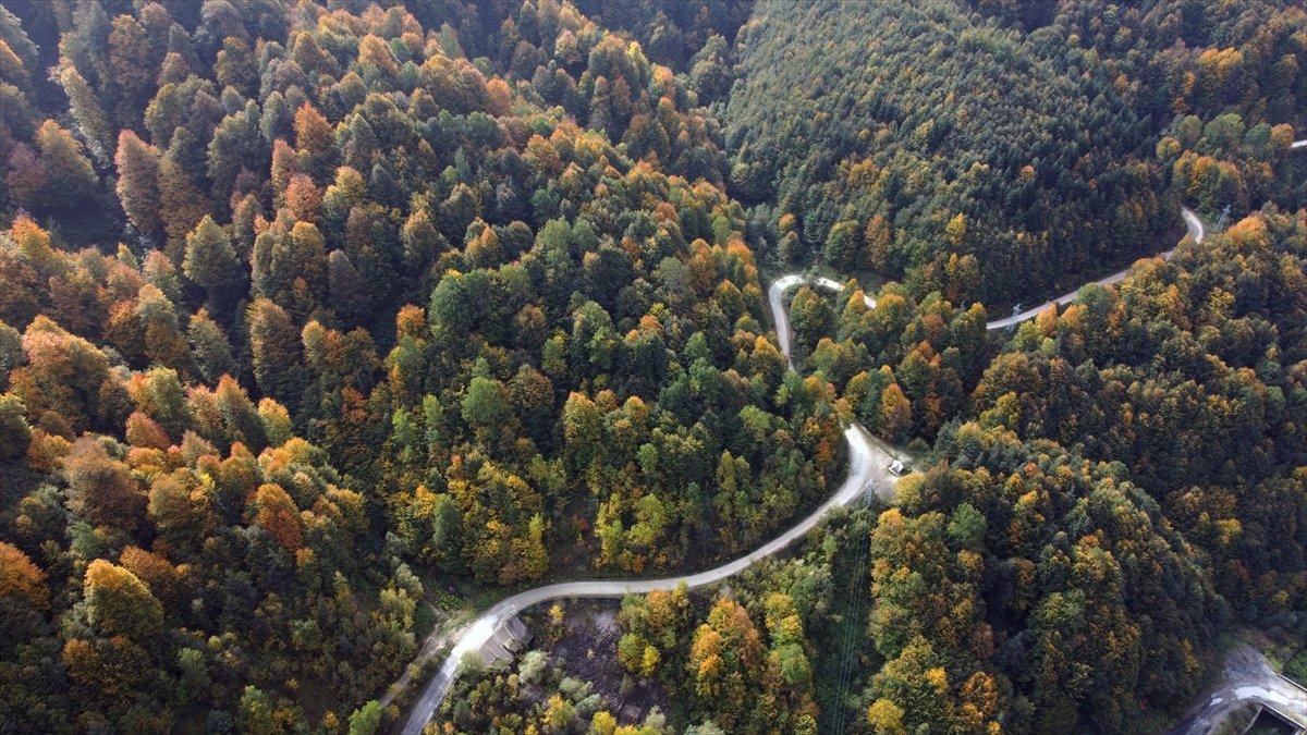 Bolu Dağı'nda sonbaharın renkleri havadan görüntülendi