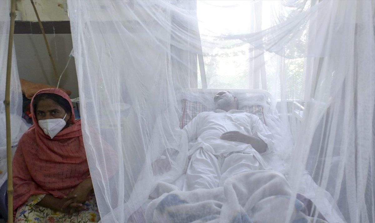 Pakistan'da dang humması vakaları arttı