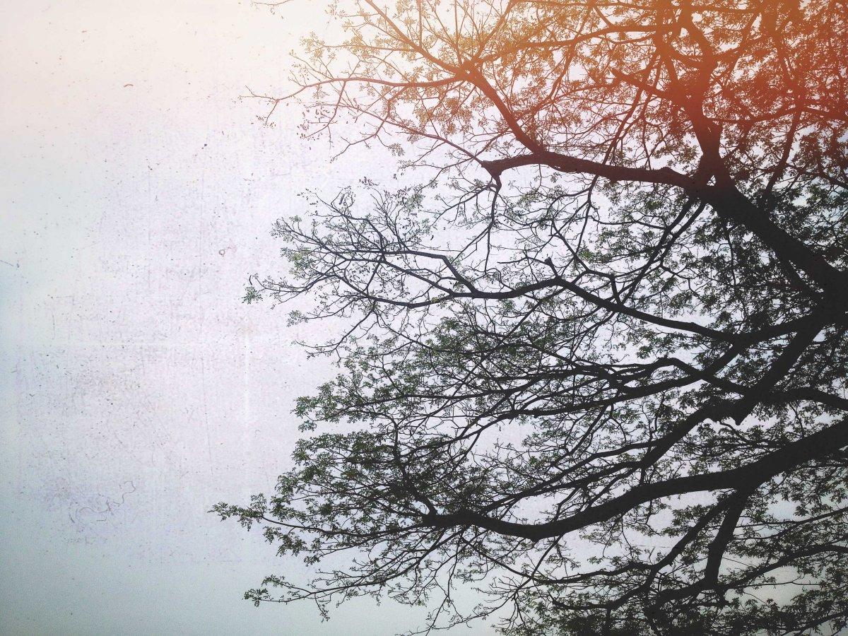 Sağlıklı uyku: Yetişkinler ve çocuklar kaç saat uyumalı