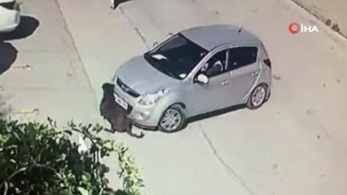 Ankara'da aracını kaldırımda yatan köpeğin üzerine sürdü