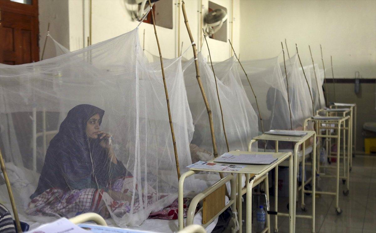 Pakistan'da dang humması vakaları arttı