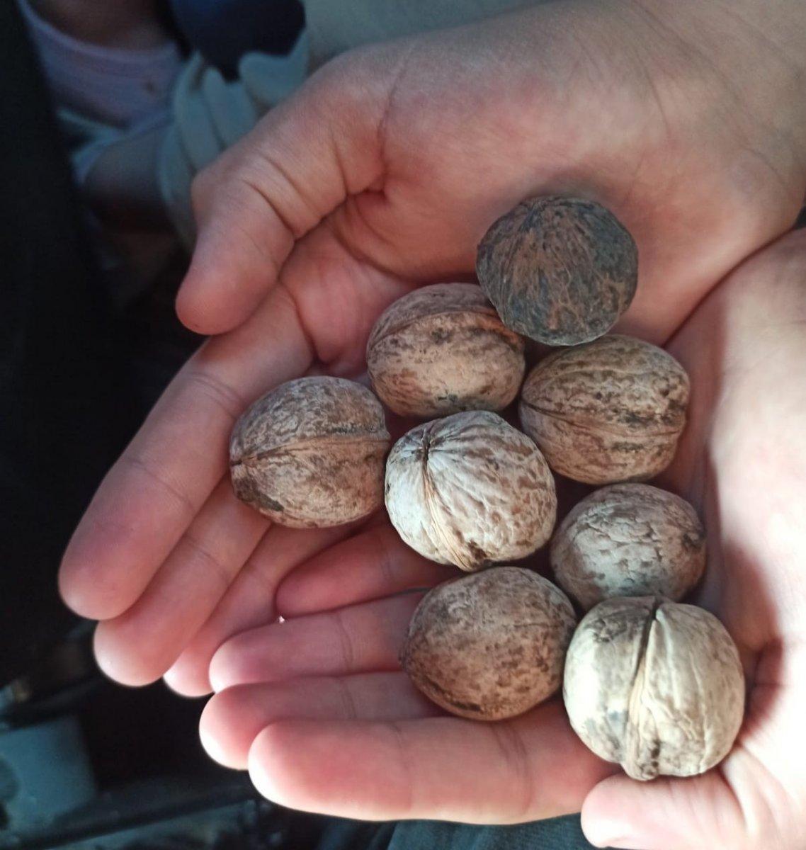 Elazığ'da çocuklar için meyve kasasından langırt yapıldı