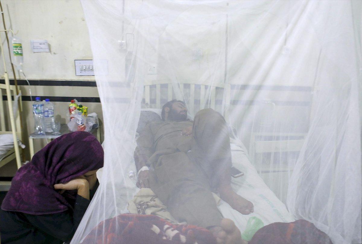 Pakistan'da dang humması vakaları arttı