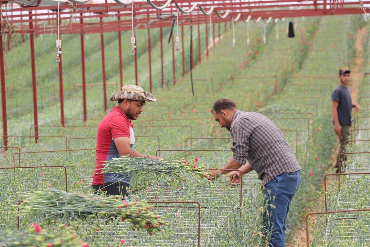 Tarım desteklerinden kesilen stopaj vergisi geri iade ediliyor