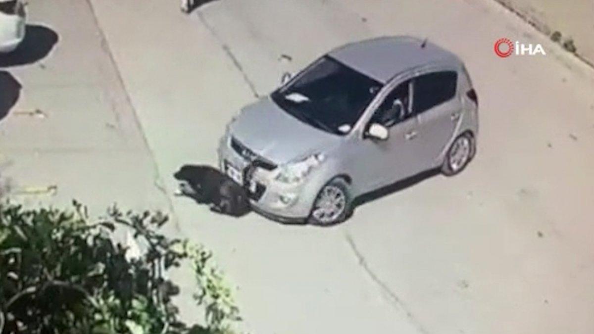 Ankara'da aracını kaldırımda yatan köpeğin üzerine sürdü