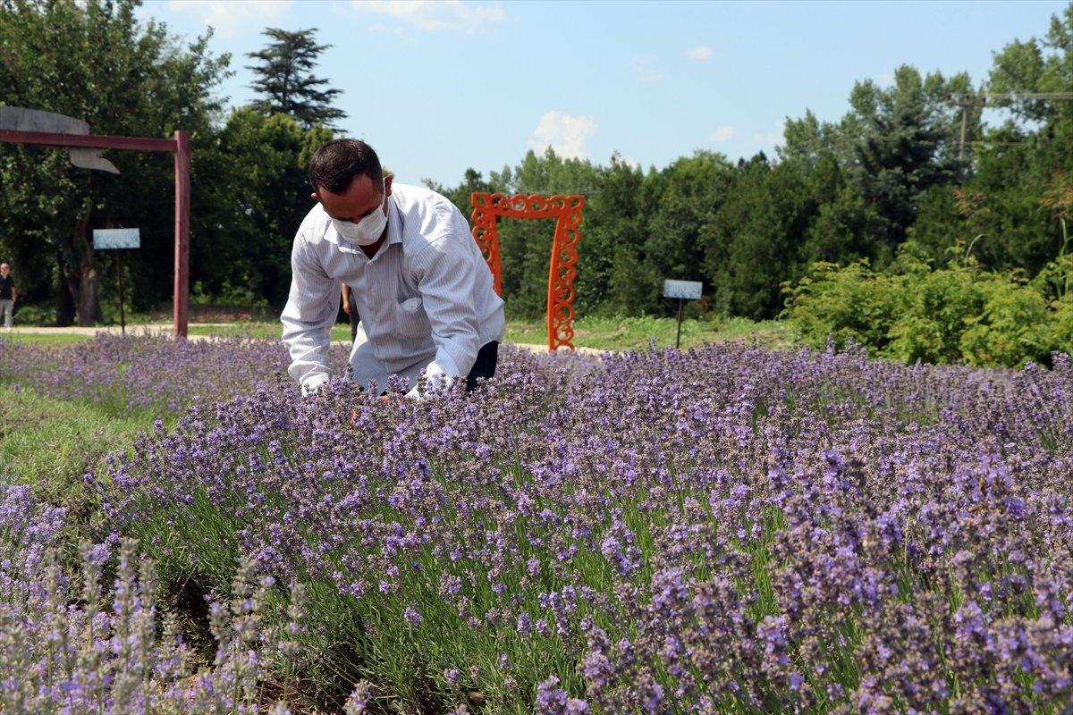 Tarım desteklerinden kesilen stopaj vergisi geri iade ediliyor