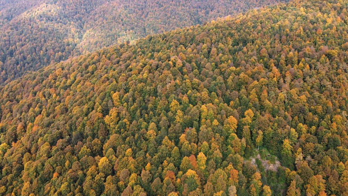Bolu Dağı'nda sonbaharın renkleri havadan görüntülendi