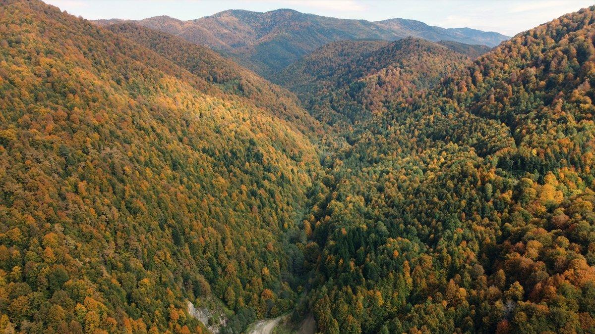 Bolu Dağı'nda sonbaharın renkleri havadan görüntülendi
