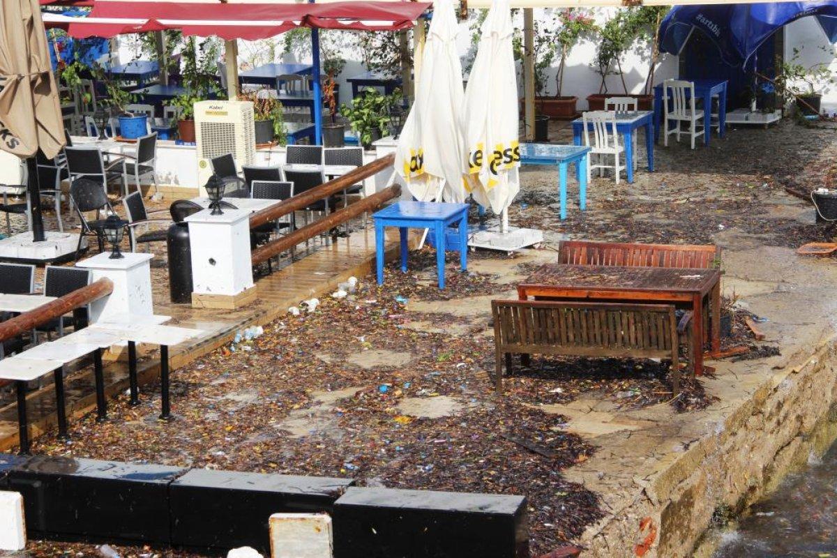 Bodrum'da 70 kilometrelik fırtına çıktı