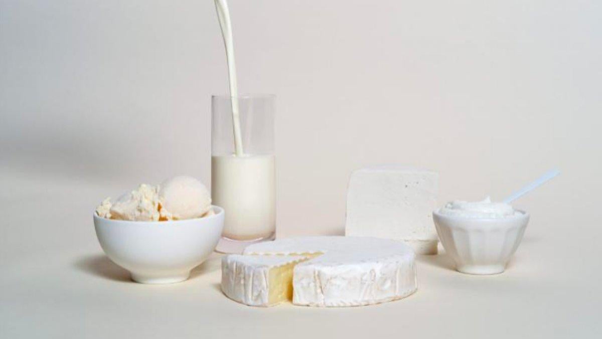 İnekler olmadan gerçek süt ürünleri üretiliyor