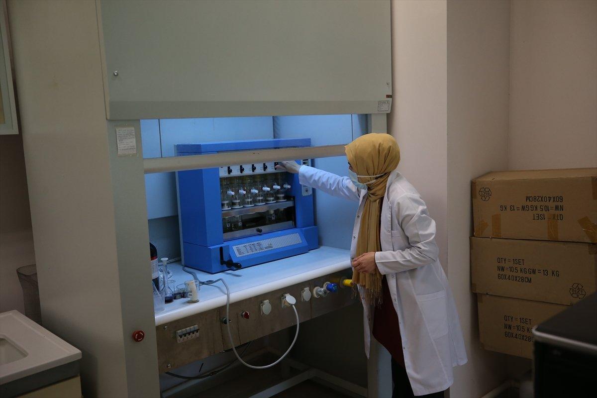 Karadeniz'de hamsinin biyoaktif özelliği incelendi