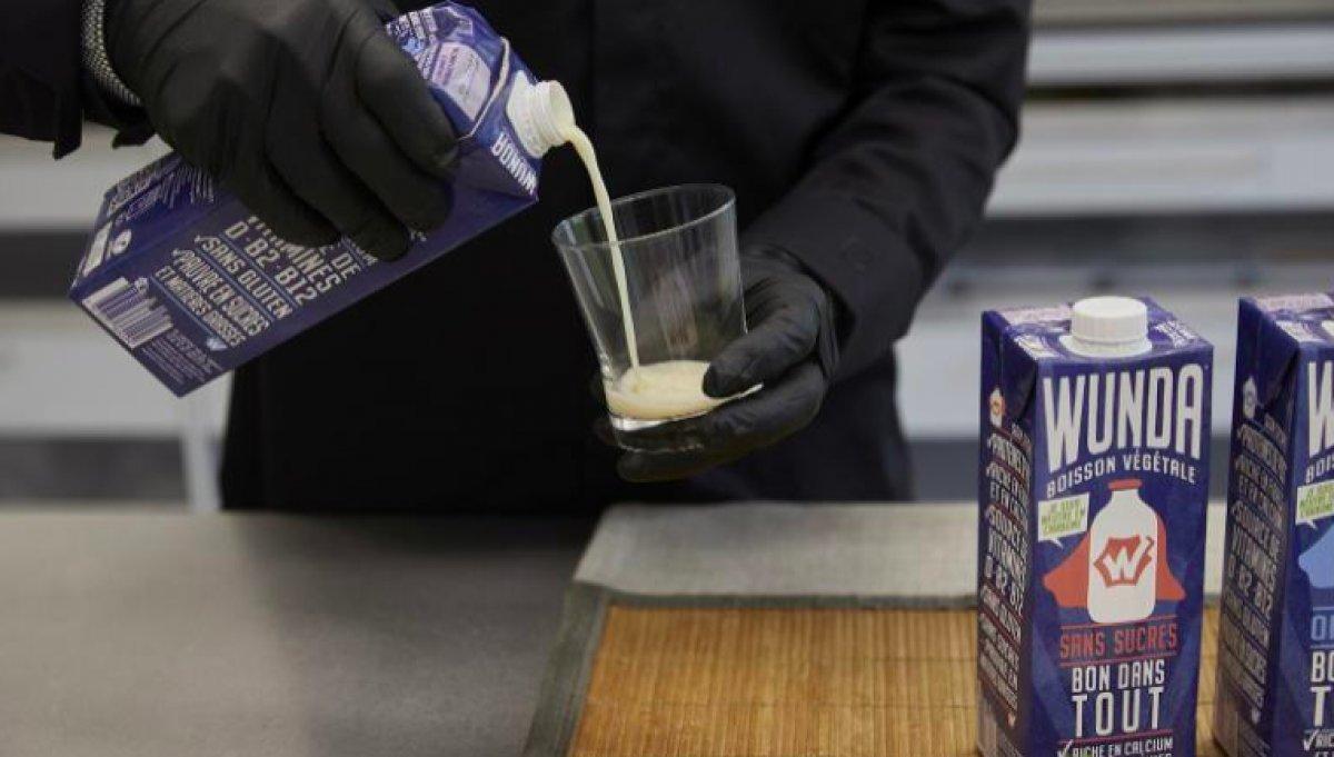 İnekler olmadan gerçek süt ürünleri üretiliyor