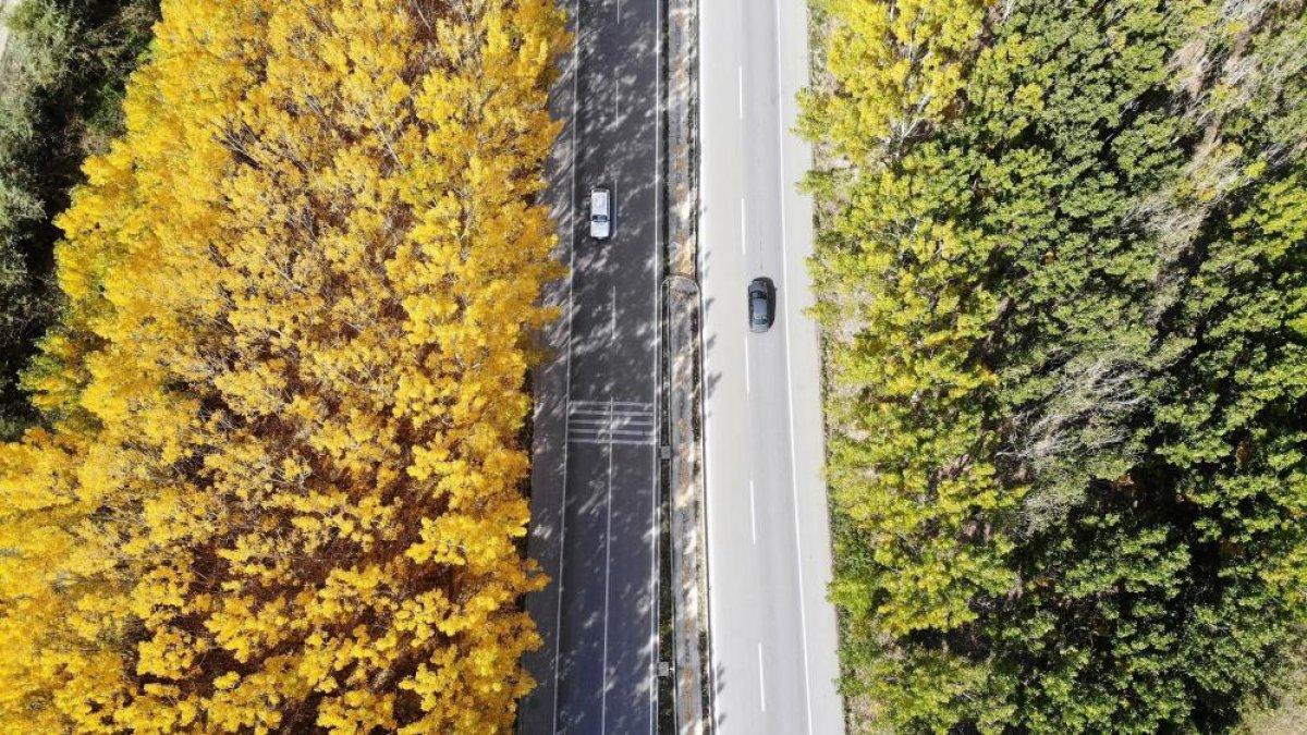 Tokat yolunda bulunan kavak ağaçlarından görsel şölen