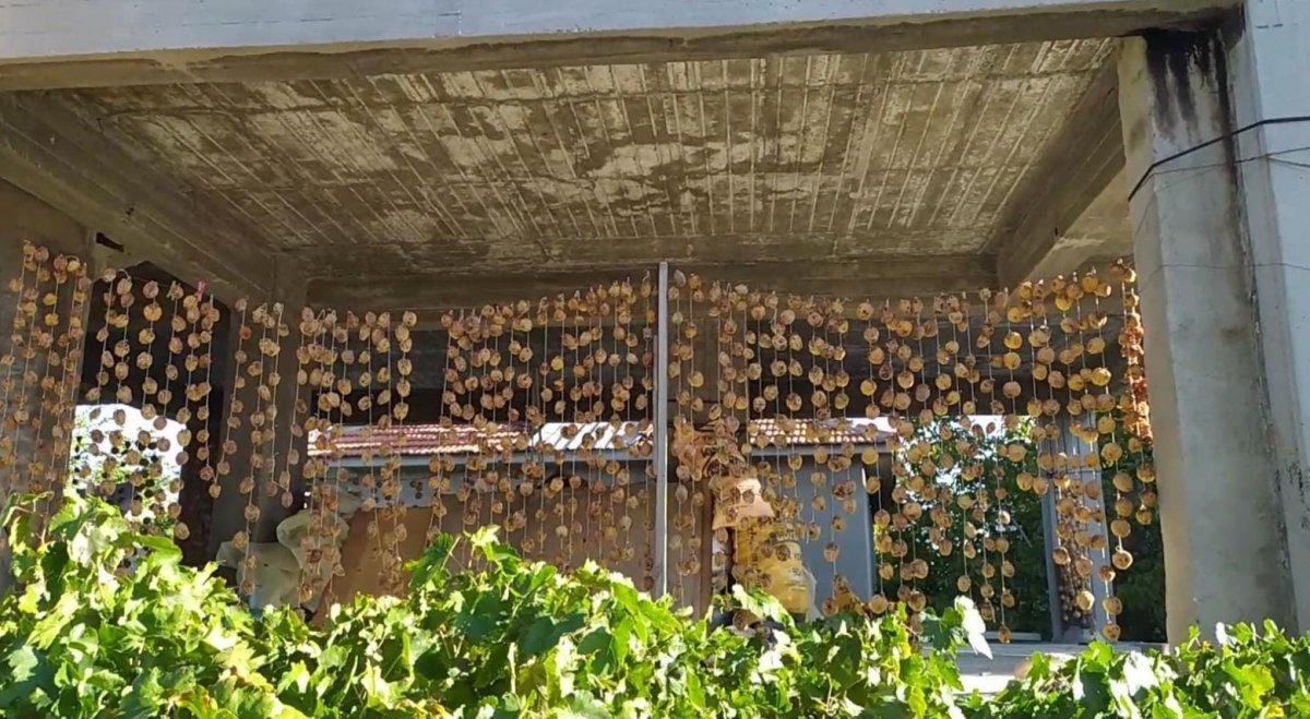 Denizli'de 650 kilo hurma çalan hırsıza operasyon