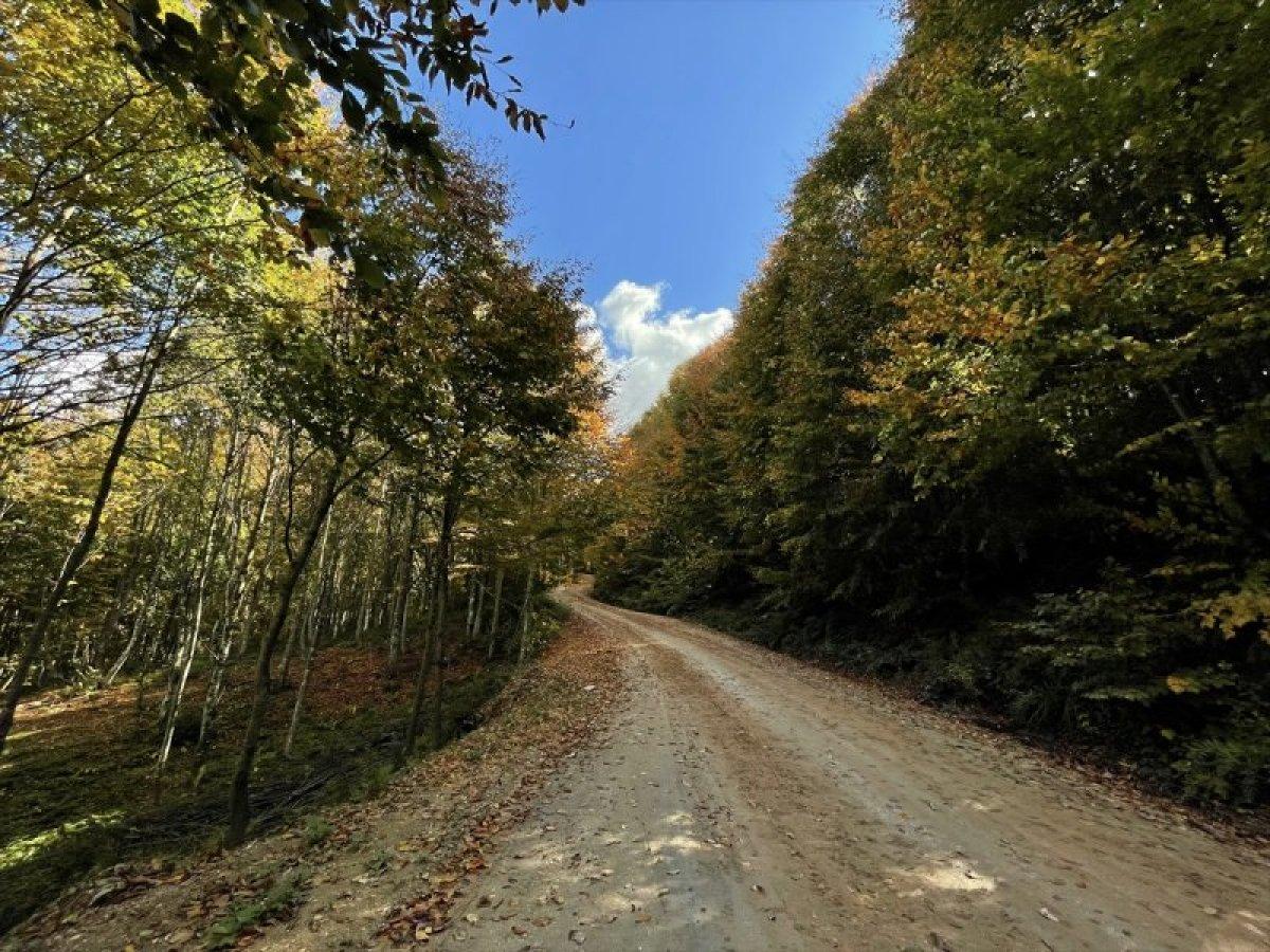 Yurttan sonbahar manzaraları