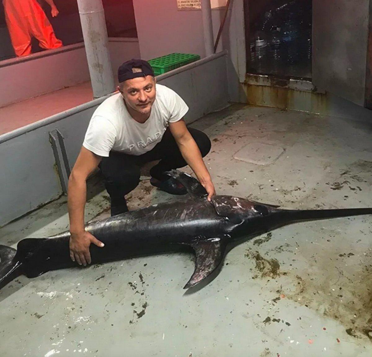 İstanbul Boğazı'nda 60 yıl sonra kılıç balığı görüldü