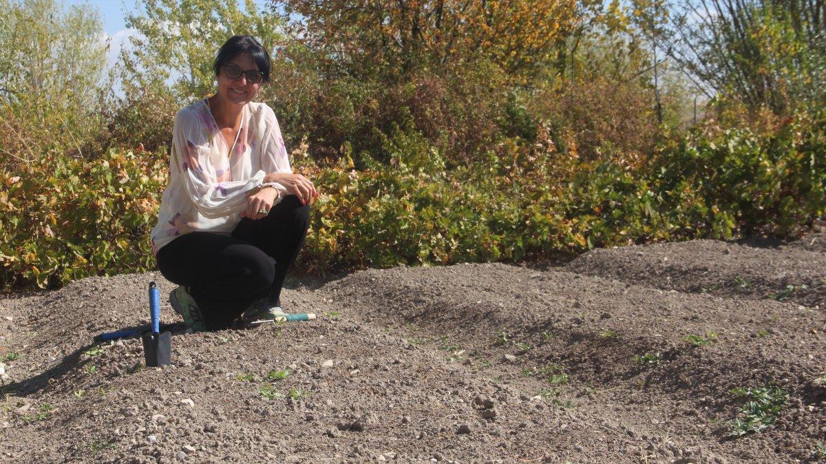 Fransa'nın en iyi fakültesinden yüksek yapıp Elazığ'daki köyüne döndü