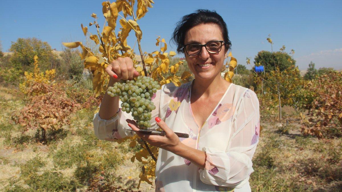 Fransa'nın en iyi fakültesinden yüksek yapıp Elazığ'daki köyüne döndü