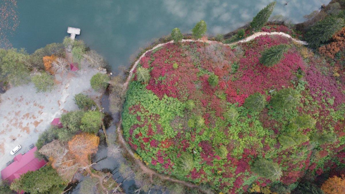 Borçka'nın Karagöl'ünden sonbahar manzaraları
