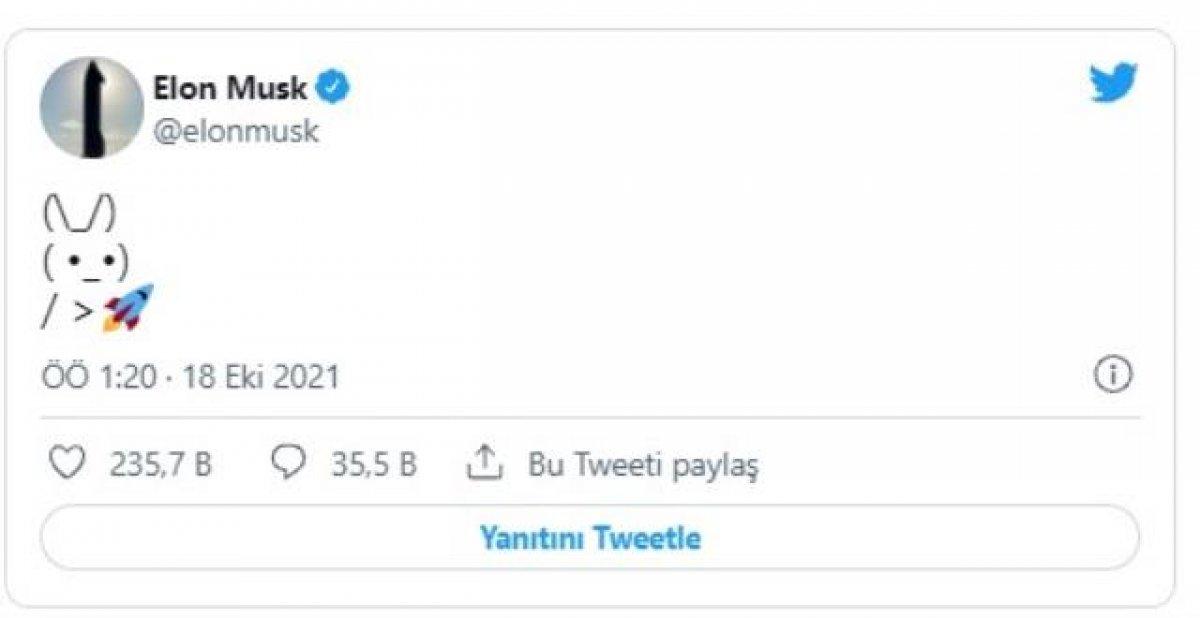 Elon Musk tweetledi: Hamster Coin nedir, ne kadar, kaç TL?