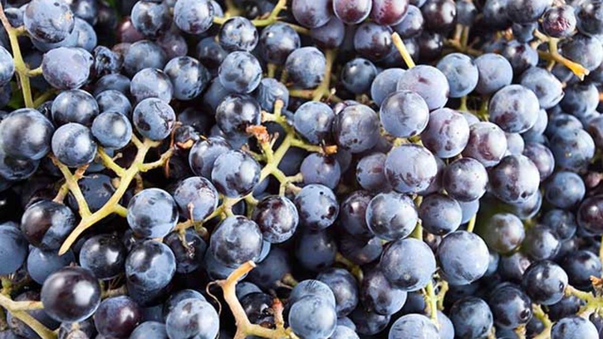 Testosteronu tüketen ve zirveye çıkaran 5 gıda