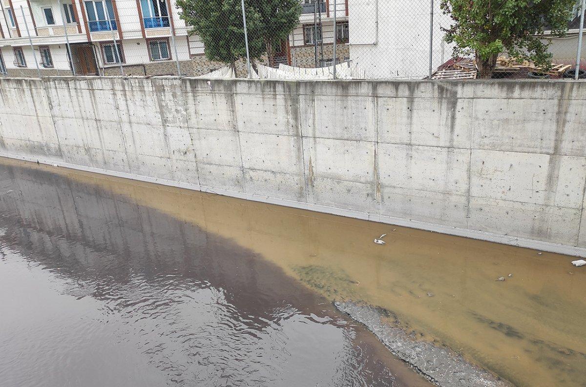 Esenyurt'taki kirlilik için mahalleli yardım bekliyor