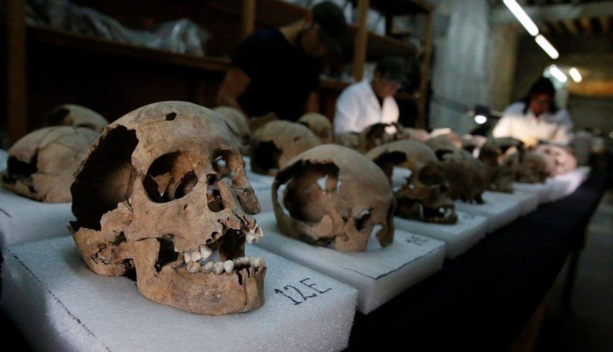 Gıdalardan bulaşan salgın: Salmonella nedir, belirtileri nelerdir?