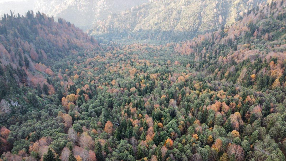 Borçka'nın Karagöl'ünden sonbahar manzaraları