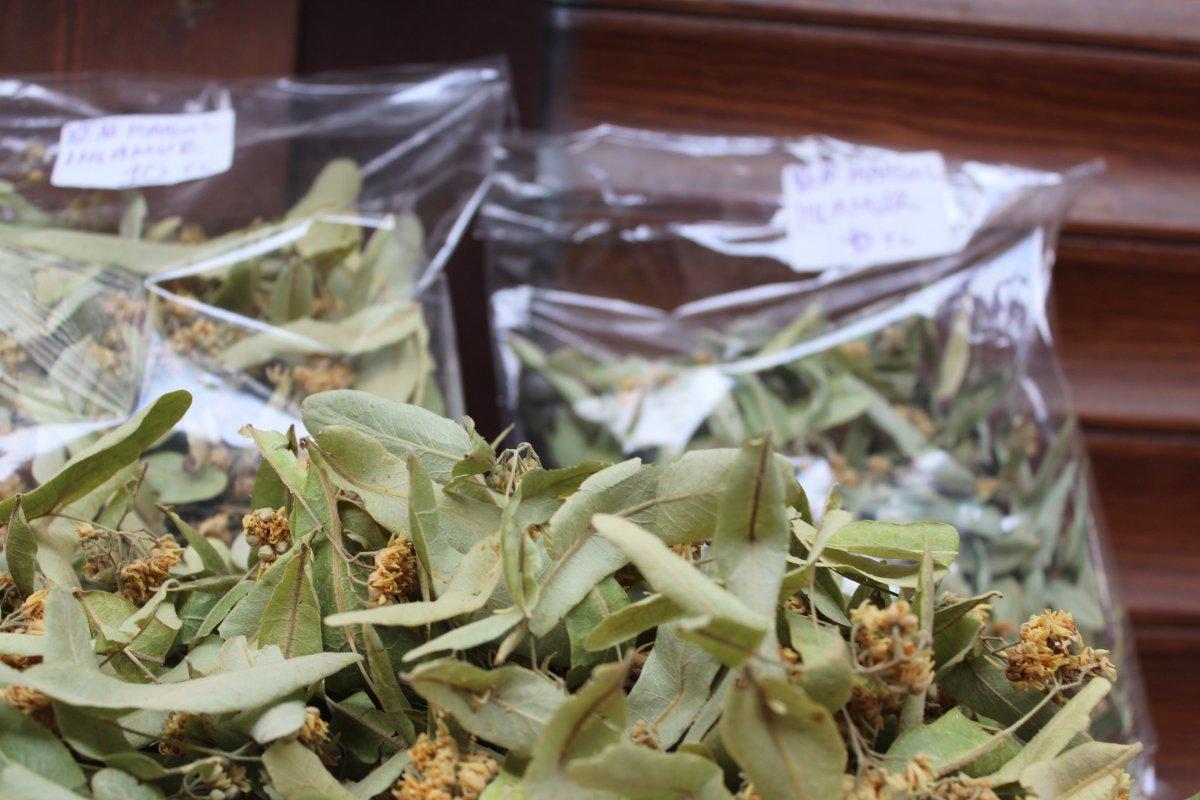 Kışın şifa amaçlı içilen ıhlamurun kilosu 400 liradan satılıyor