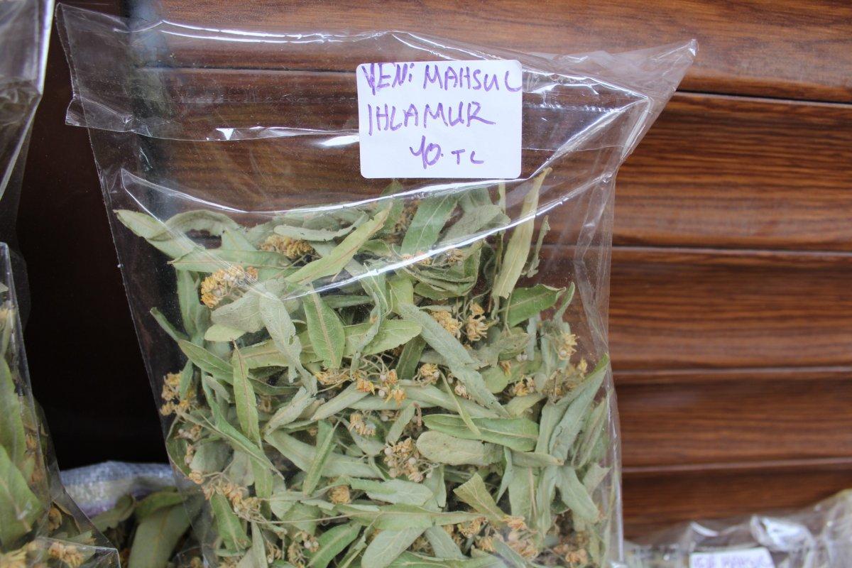 Kışın şifa amaçlı içilen ıhlamurun kilosu 400 liradan satılıyor