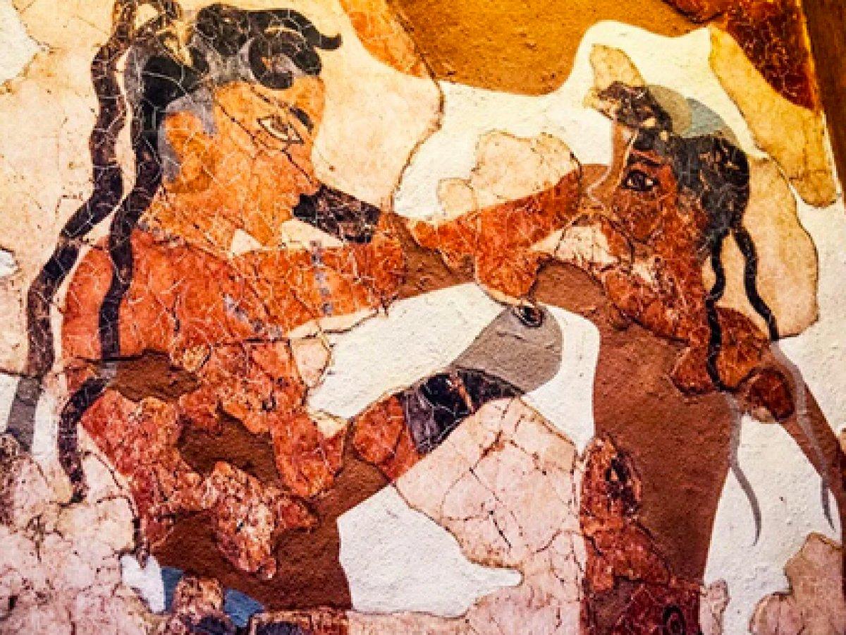 Dünya'nın en eski yıldız haritası İngiltere'de sergilenecek