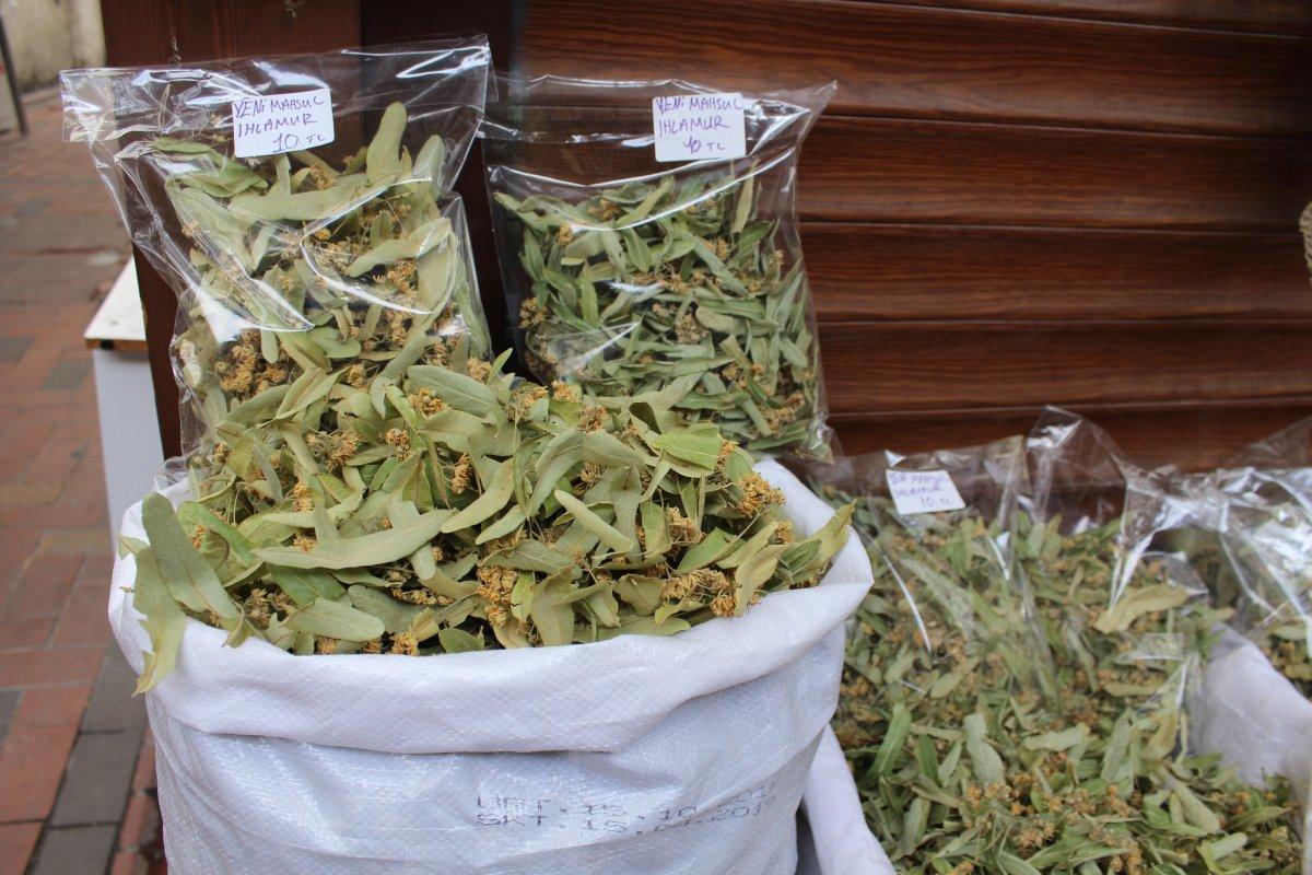 Kışın şifa amaçlı içilen ıhlamurun kilosu 400 liradan satılıyor