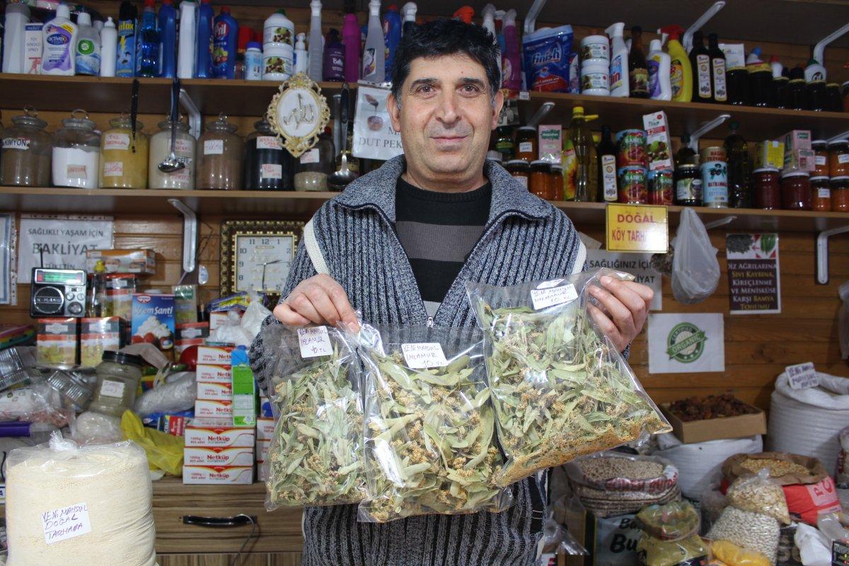 Kışın şifa amaçlı içilen ıhlamurun kilosu 400 liradan satılıyor