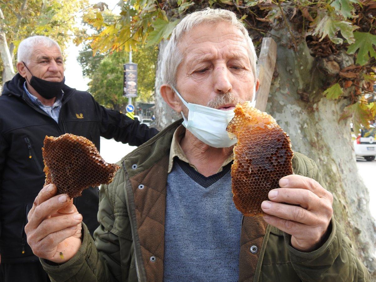 Edirne'de 4 ay önce kaçan kraliçe arı 10 bin arıyla bulundu