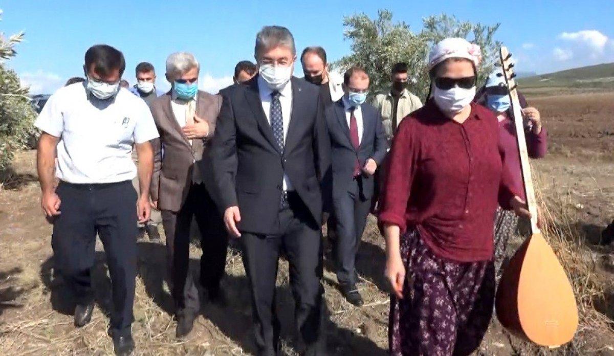 Osmaniye'de zeytin hasadı başladı