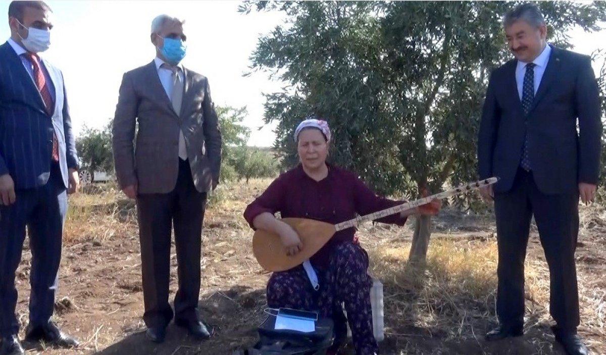 Osmaniye'de zeytin hasadı başladı