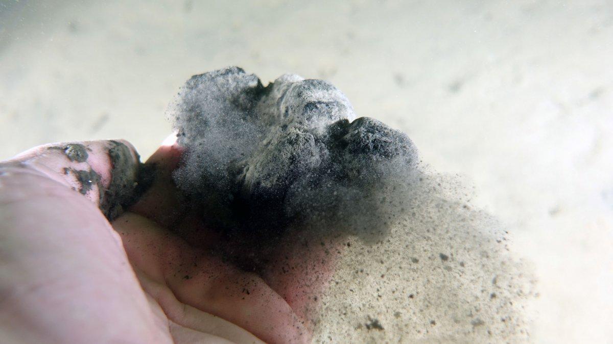 Marmara Denizi soğuyamadı, müsilaj tehlikesi devam ediyor