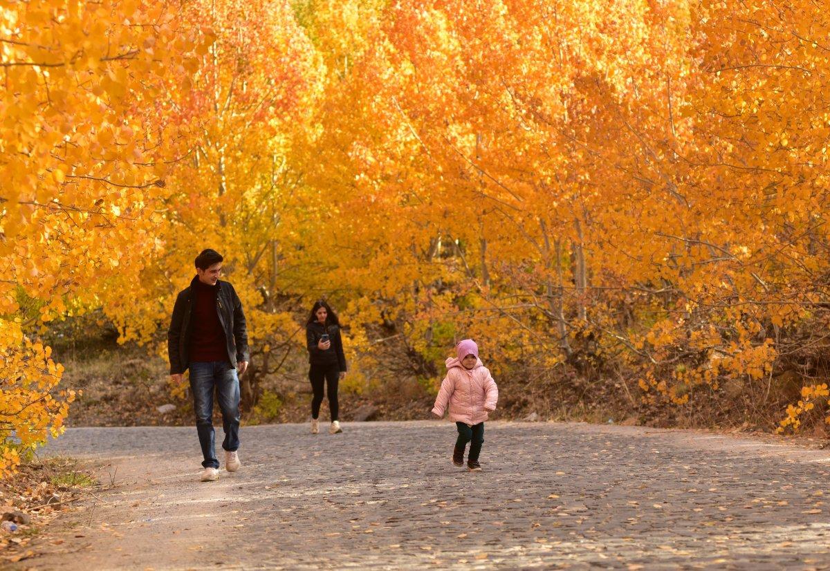 Bitlis'te sonbahar, kartpostallık görüntüler oluşturdu