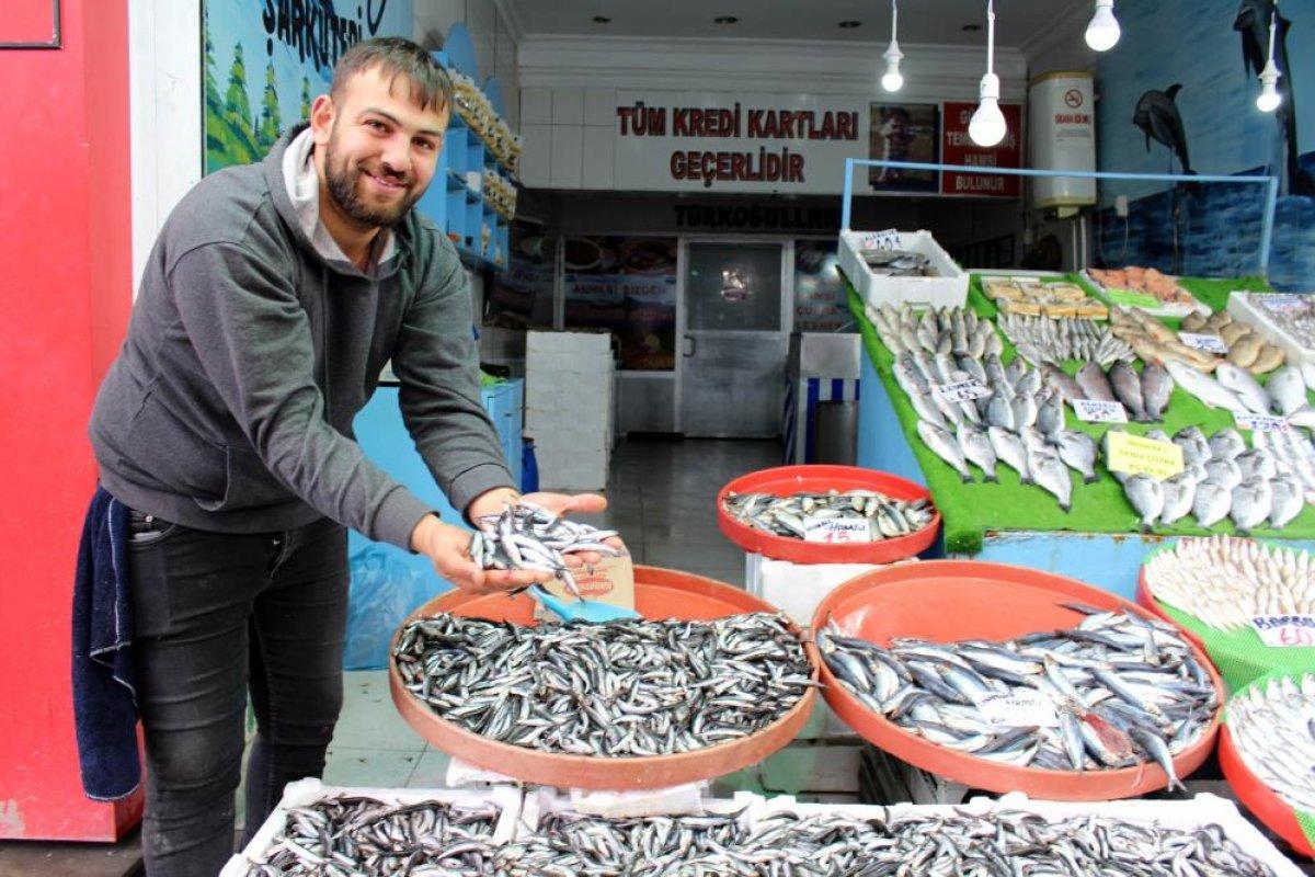 İç Anadolu'da balık bolluğu fiyatları düşürmedi