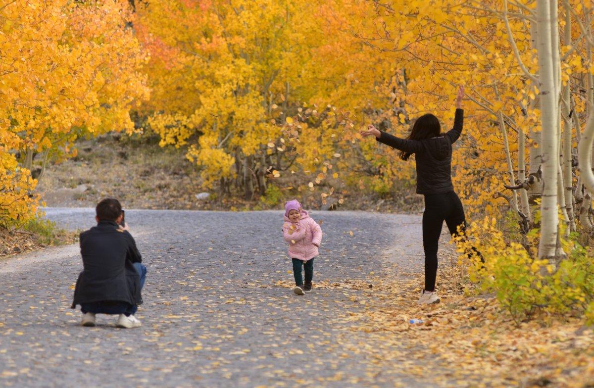 Bitlis'te sonbahar, kartpostallık görüntüler oluşturdu