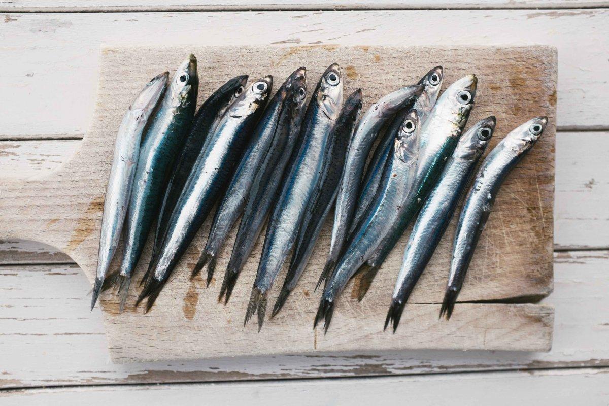 Omega 3 zengini 7 besin