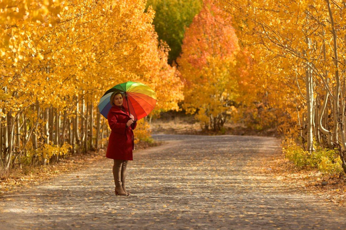 Bitlis'te sonbahar, kartpostallık görüntüler oluşturdu