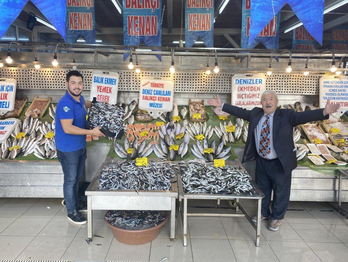 Beylikdüzü'nde hamsi, 10 liradan satılıyor