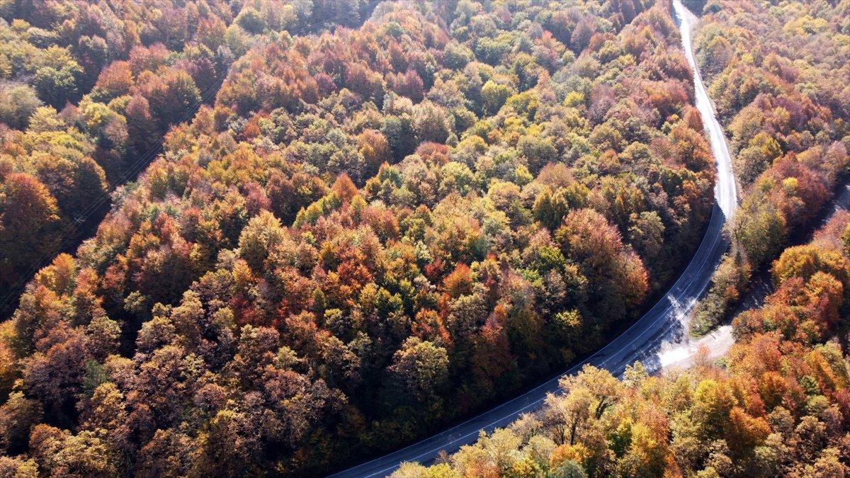 Gölcük Tabiat Parkı'ndan sonbahar manzaraları