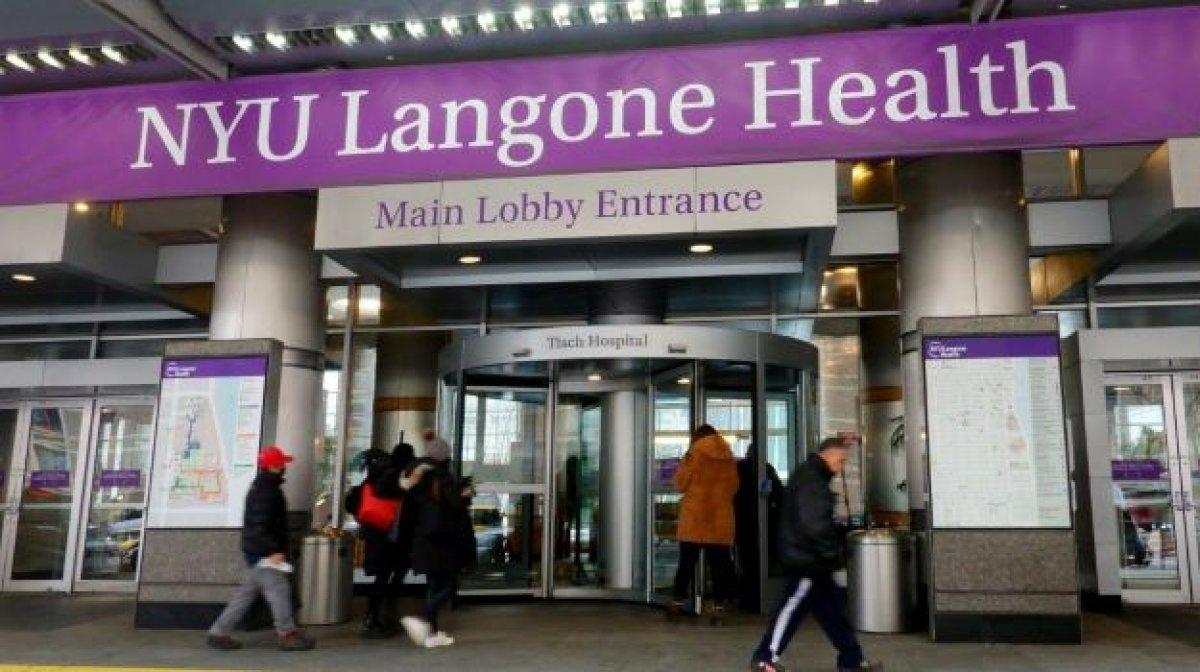 Dünyada bir ilk: Genetiğiyle oynanmış bir domuzun böbreği insana nakledildi