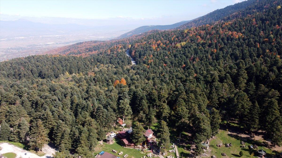 Gölcük Tabiat Parkı'ndan sonbahar manzaraları