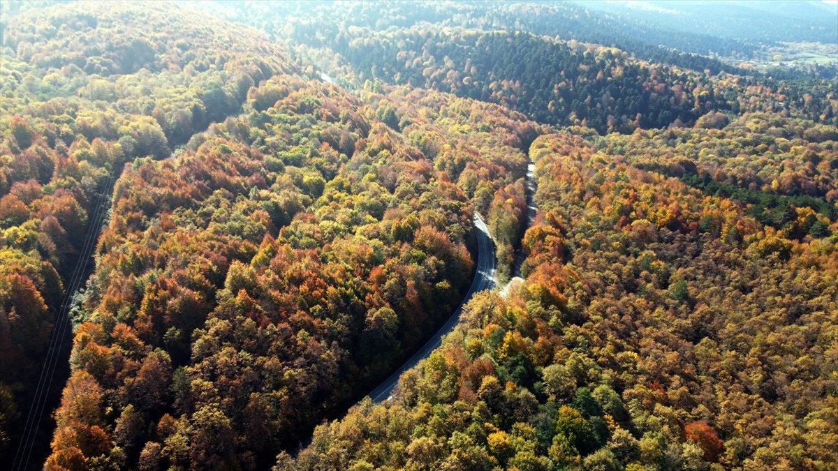 Gölcük Tabiat Parkı'ndan sonbahar manzaraları