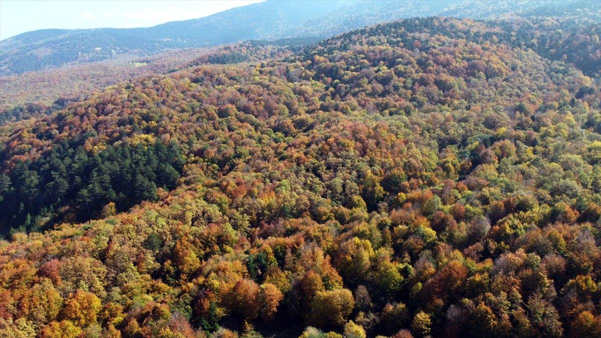 Gölcük Tabiat Parkı'ndan sonbahar manzaraları