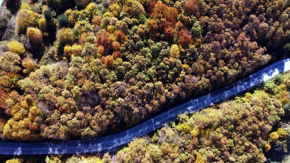 Gölcük Tabiat Parkı'ndan sonbahar manzaraları